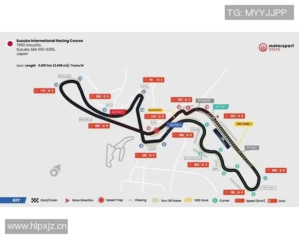 F1赛季车队协作与赛道表现相互影响的深度分析